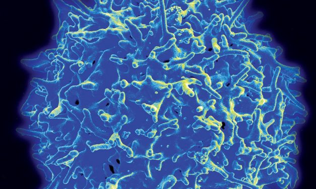 Latest News on Immunology Against Cancer