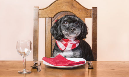 Fido’s Fabulous Life!