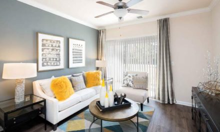 Bring the summer to you, at home!