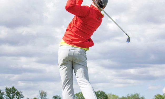 The Players Championship VIP Experience