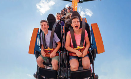 Move over Cheetah-Hunt, Tigris is making its way to Busch Gardens!