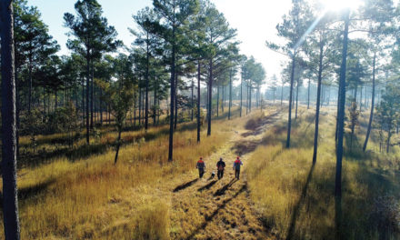 Lay Low in the Historic High Country at the Barnsley Resort