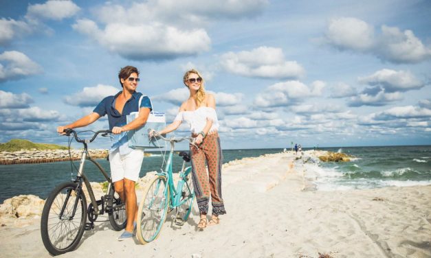 Discover The Palm Beaches