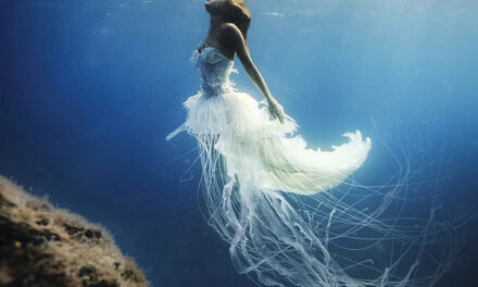 Diving into Art & Conservation