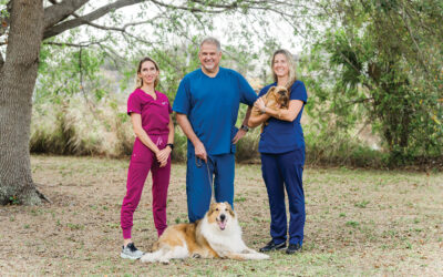 Lake Seminole Animal Hospital
