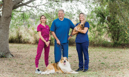 Lake Seminole Animal Hospital