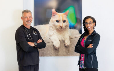 Gulf Coast Veterinary Center of Spring Hill