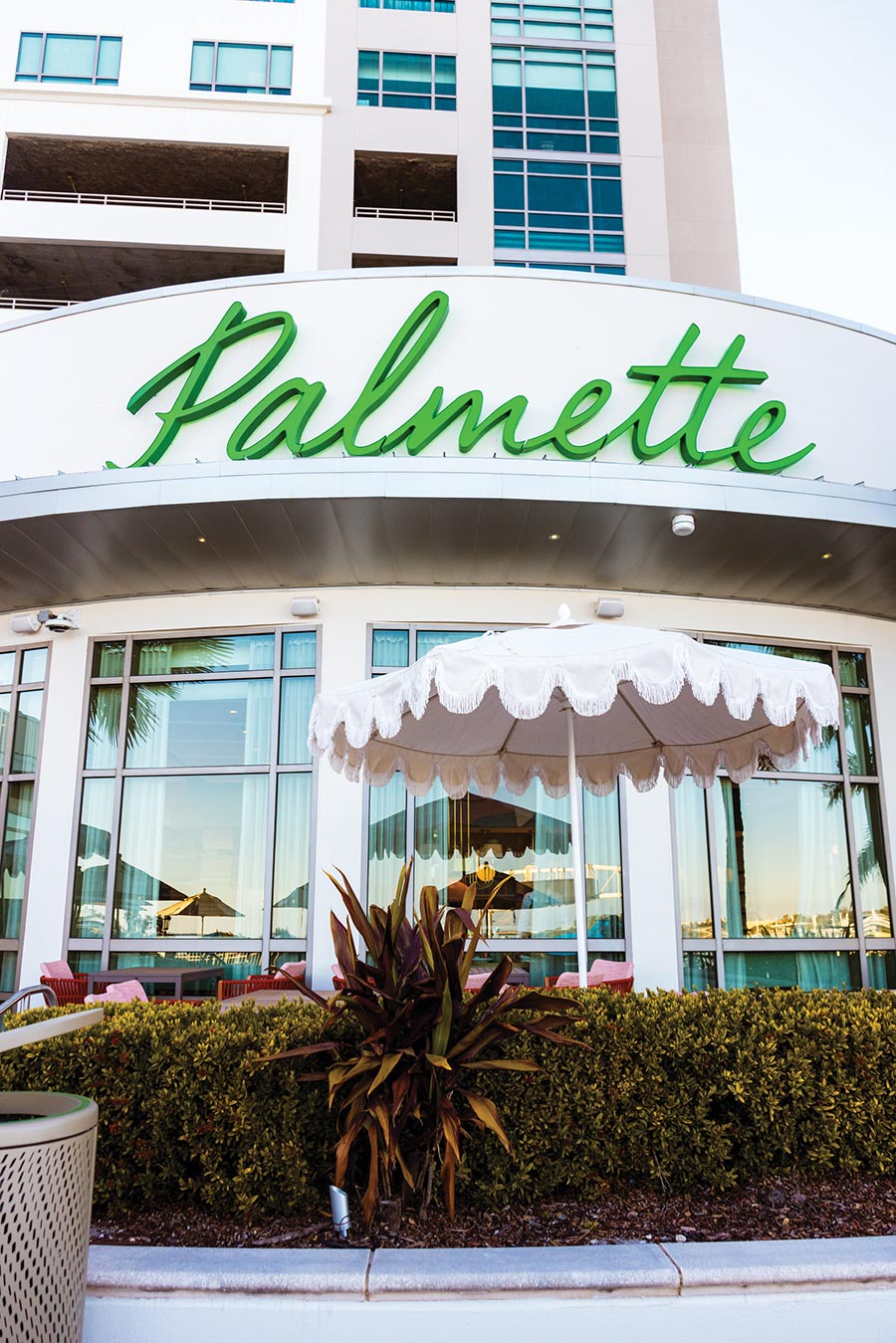 palmetto4 Palmette